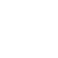 Free Worldwide Shipping